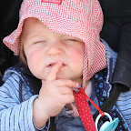IMG_6772.JPG