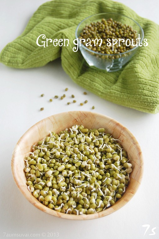 [Homemade%2520green%2520gram%2520sprouts%2520pic1%255B3%255D.jpg]
