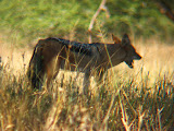 South Africa - 164.JPG