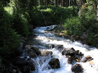 IMG_0391.JPG Photo