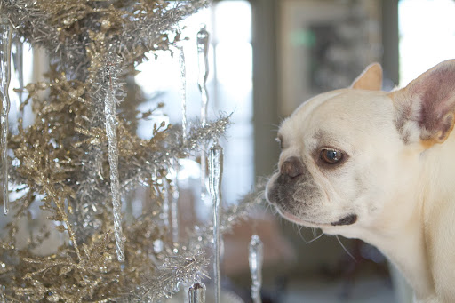 And look at this one with hanging glass icicles.