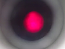 DSCF2240