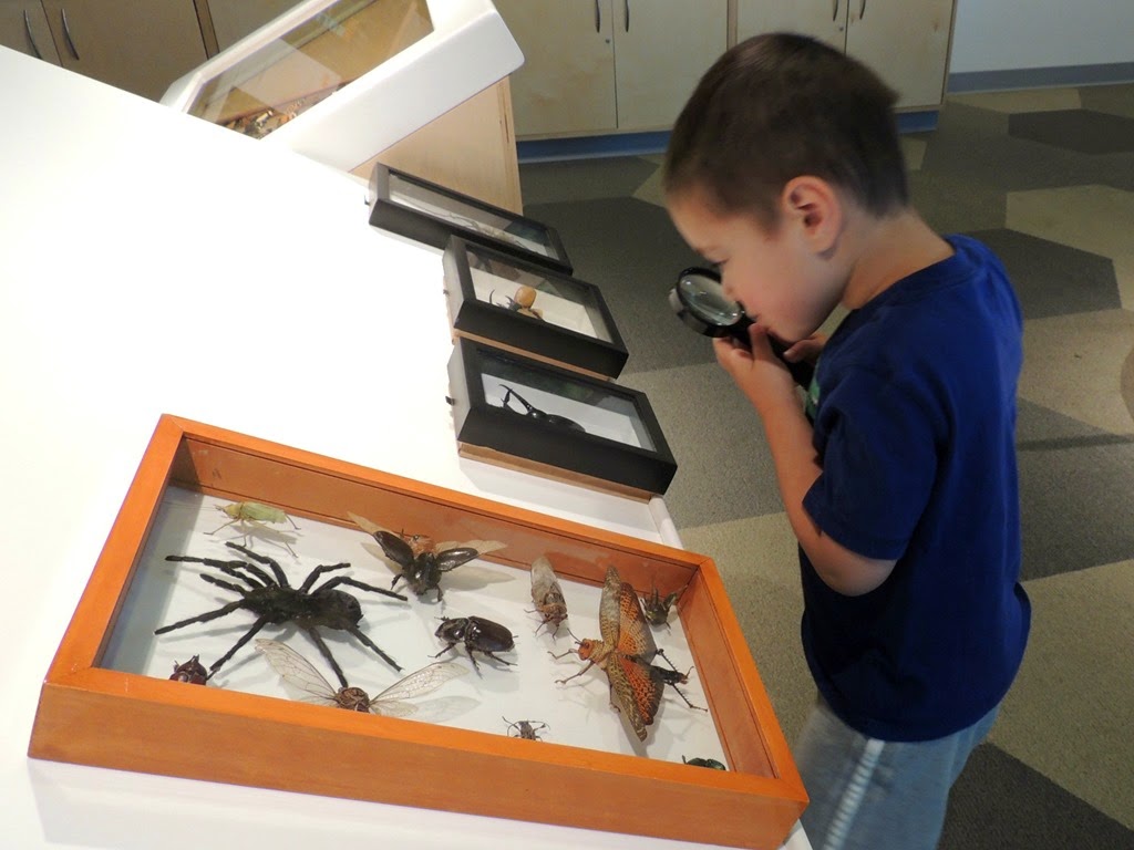 [DSCN9477%255B3%255D.jpg]