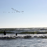 IMG_8459.JPG
