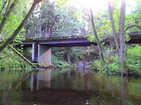 DSC00519.JPG Photo