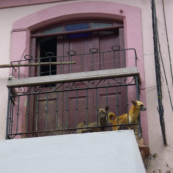 [Havana-1030048%255B2%255D.jpg]