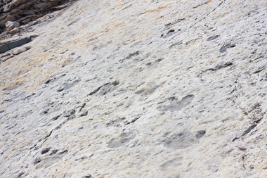 04 05 13_dino ridge prints