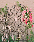 From the wedding of: Giovanna and Schuyler. (http://www.marthastewartweddings.com/photogallery/giovanna-and-schuyler#slide_26) From the wedding of: Giovanna and Schuyler. (http://www.marthastewartweddings.com/photogallery/giovanna-and-schuyler#slide_26)