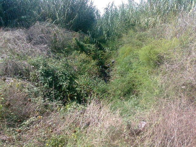 [canale%255B4%255D.jpg]