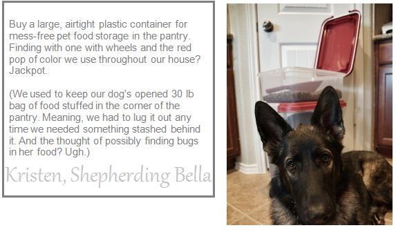pet food storage solution