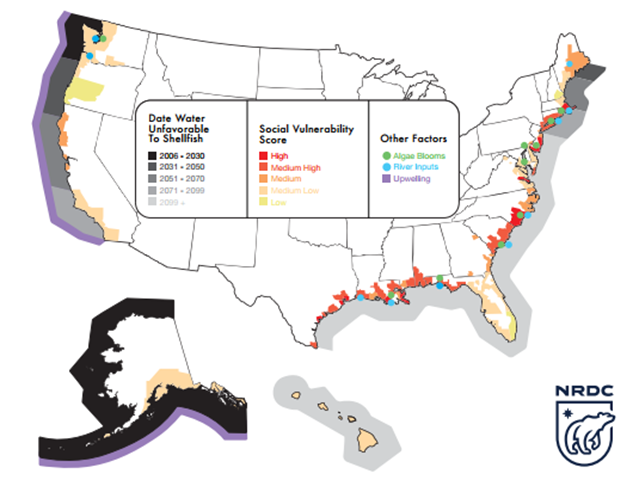 According to NRDC, the long-term economic impacts of ocean acidification are expected to be most severe in regions where waters are acidifying soonest (black) and where the residents rely most on local shellfish for their livelihood (red). Local factors such as agricultural pollution (green), naturally-occurring upwelling currents (purple) and poorly buffered rivers (blue) can amplify acidification locally. Graphic: Natural Resources Defense Council
