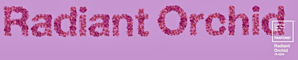 [orchid_1%255B4%255D.jpg]