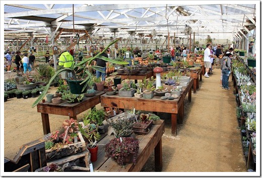 120928_SucculentGardens_greenhouse