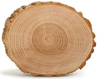 [Fotolia_22594567_XScrop%255B4%255D.jpg]