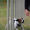 trenink_02062012_045.JPG