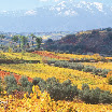 collemoromontagna.jpg