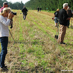 Bifrost 2011 Allan Faurskov 082.JPG