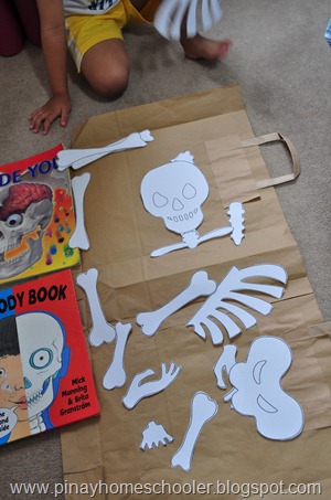 Our DIY Human Skeleton Puzzle