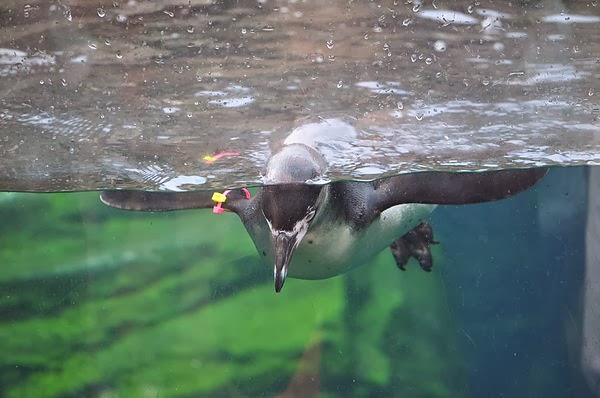 DSC_0351.JPG DSC_0351.JPG
