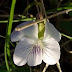 20100319_008