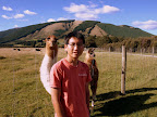 My first close contact with Llama