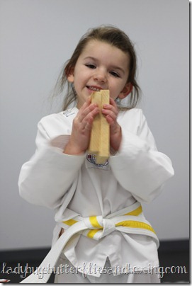 yellow belt 3 yellow belt 3
