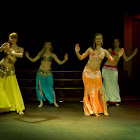 Document Name_3_254.JPG