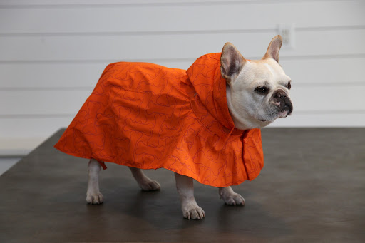 These are great, Franny!  And just in time for spring showers!  The next time a squirrel thinks a little rain will stop us from chasing him, he'll have another thing coming!