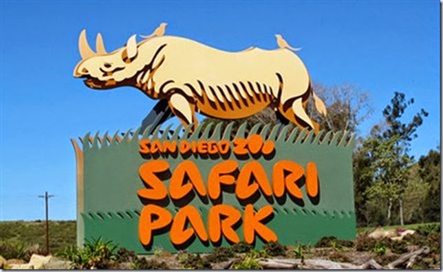 san-diego-safari