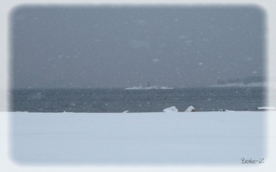 IMG_3904 IMG_3904