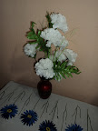 DSC00737.JPG