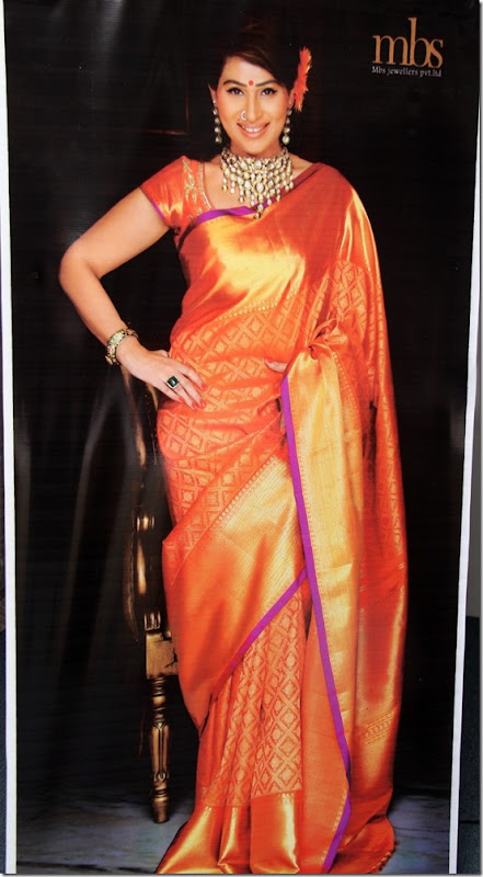 ShreedeviTraditional_Saree ShreedeviTraditional_Saree