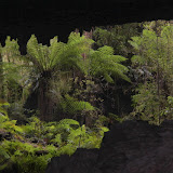 At The Exit of the Cave - Karamea, New Zealand
