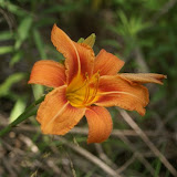 DSC09199.JPG