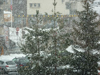 Snow2.JPG Photo