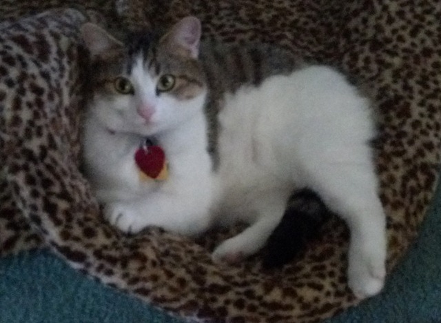 [2013-01-20_12-13-20_541%255B3%255D.jpg]