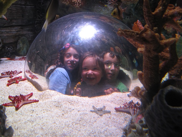 [IMG_8421%255B2%255D.jpg]