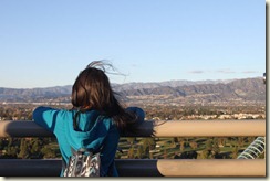 IMG_9327 IMG_9327