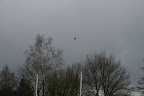dwingeloo - emmen