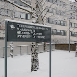 Vuolukiventie