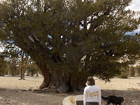 HPIM2418.JPG Photo