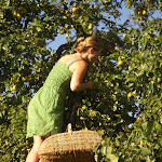 ingepears_07 - 34.jpg ingepears_07 - 34.jpg