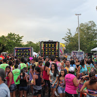 Carnaval_Cantanhede_Bloco_Cana_Limao_2012