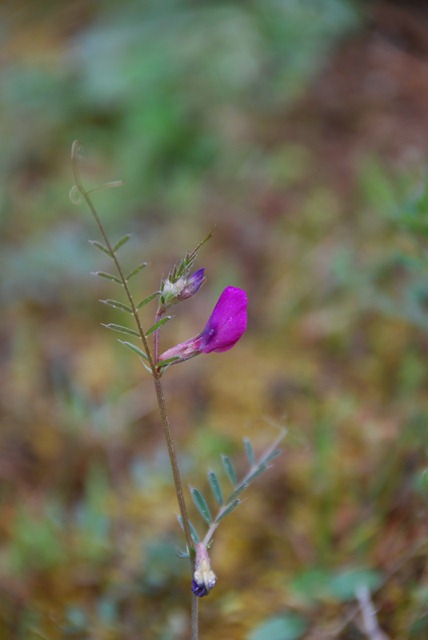 [DSC_0083%255B5%255D.jpg]