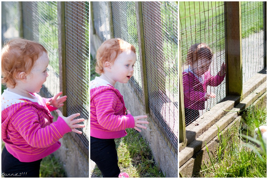 [Mom--Dad-visit-May11.jpg]