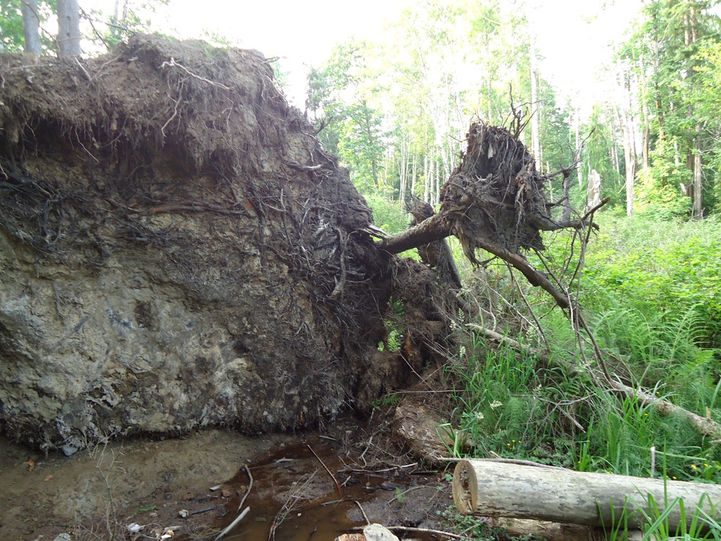 [DSC01813%255B4%255D.jpg]