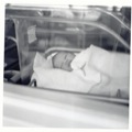 babydavid1-2012-08-23-08-00-2012-11-4-08-40-2012-12-1-07-54-2013-05-4-07-51.jpg