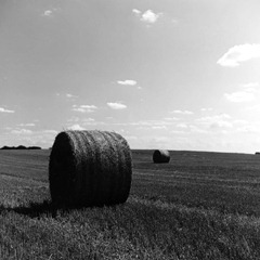 Hay-Bales-3