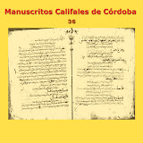 Manuscritos Califales (36)