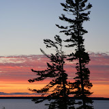 Sunrise and Pines / Near Bayfield with Lake Superior and Madeline Island in the background / Wisconsin